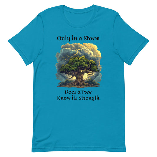 In a Storm Inspirational Unisex t-shirt - Ruppy's Creations