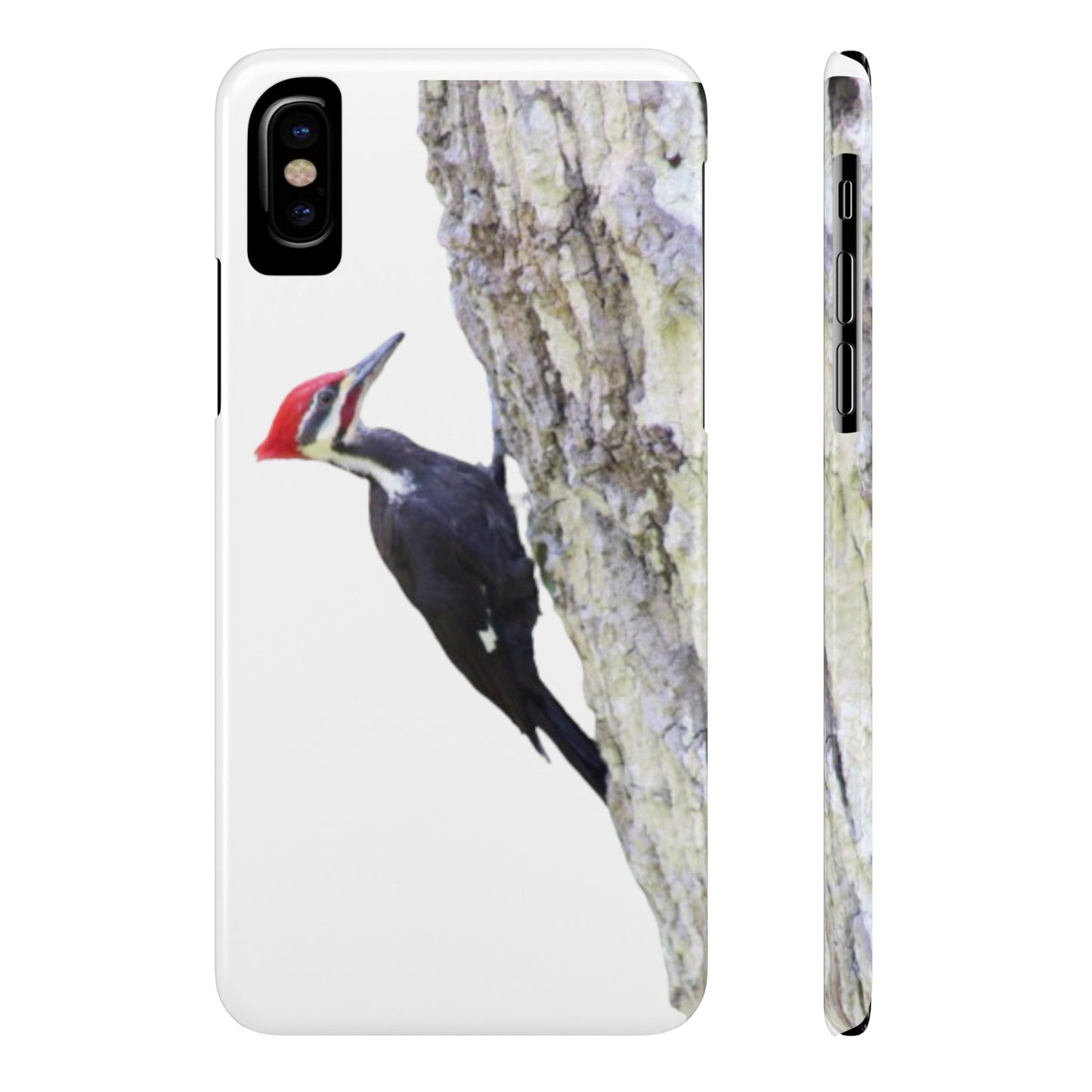 Pileated Woodpecker Slim iPhone Case - Ruppy's Creations