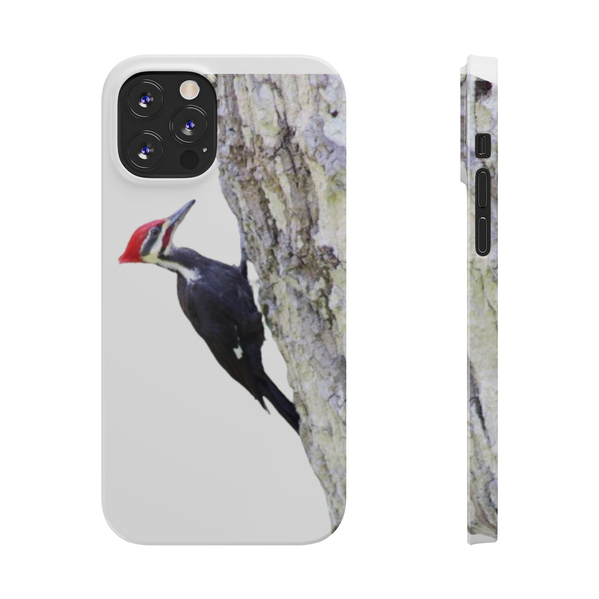 Pileated Woodpecker Slim iPhone Case - Ruppy's Creations