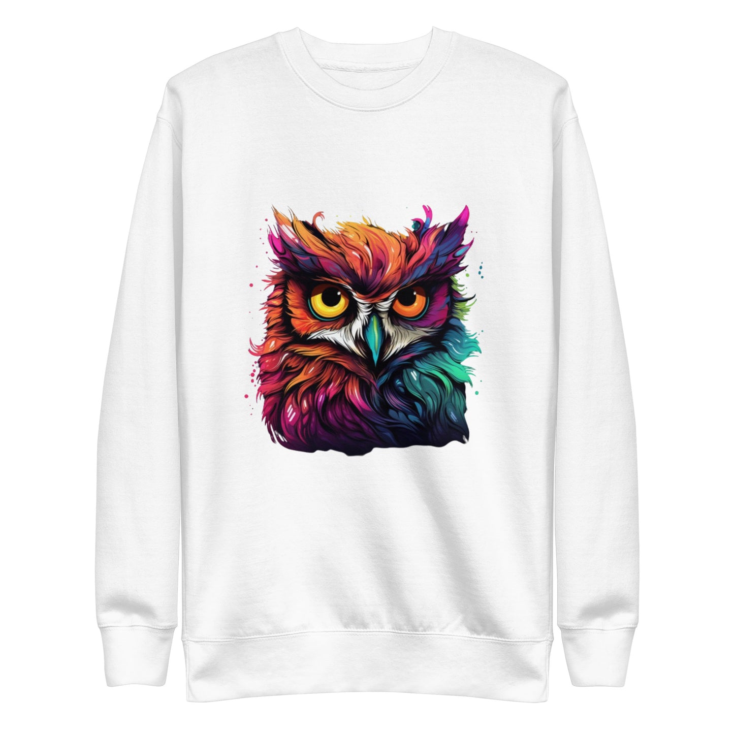 colorful owl sweatshirt